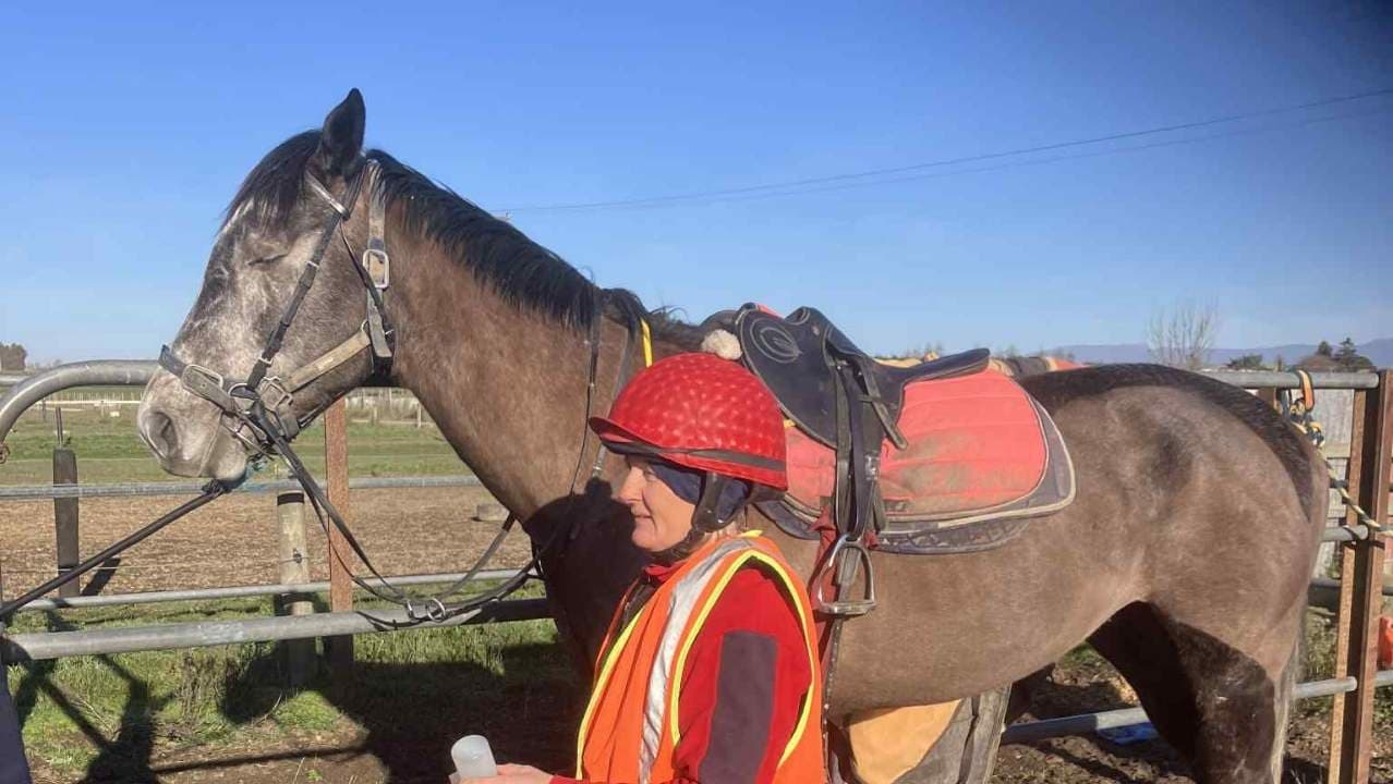Performance & Movement Assessment