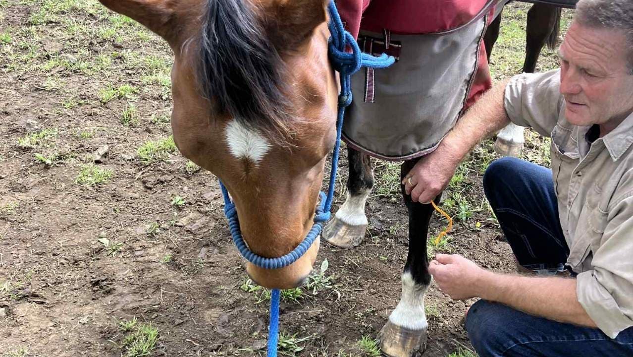 Pressure Points & Gentle Adjustments