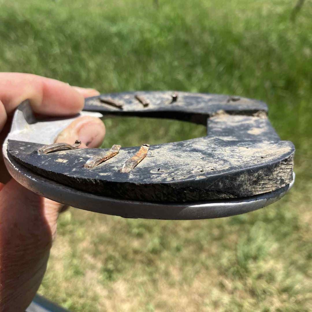 Helping the Body Find Its Way Back